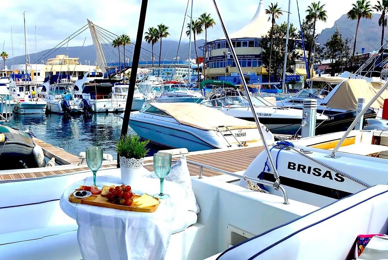 Barco Pita - Amarilla Marina contacts