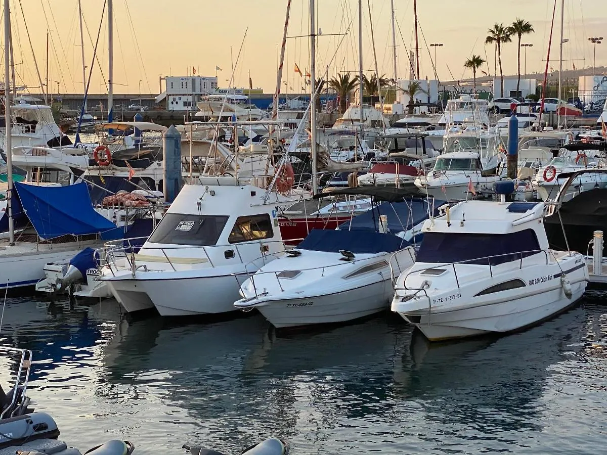 Barco Pita - Amarilla Marina Hotel San Miguel de Abona Spain